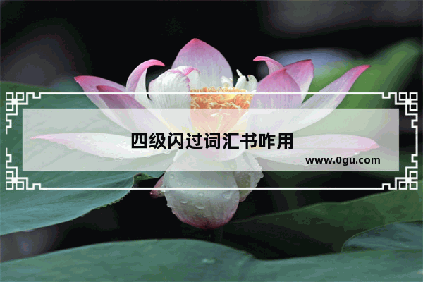 四级闪过词汇书咋用