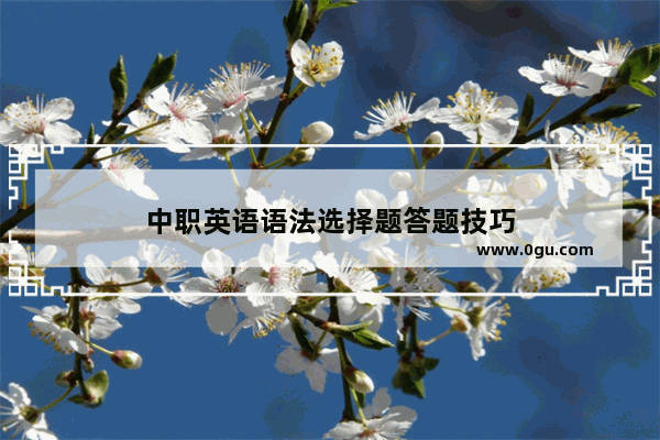 中职英语语法选择题答题技巧