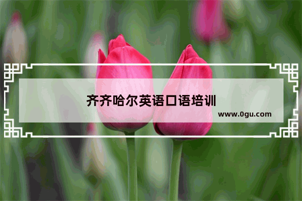 齐齐哈尔英语口语培训