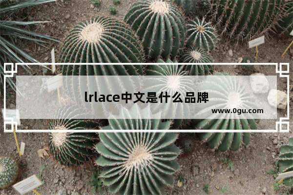 lrlace中文是什么品牌