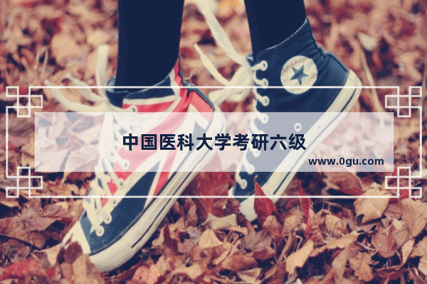 中国医科大学考研六级