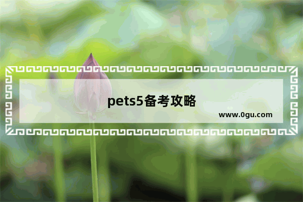 pets5备考攻略