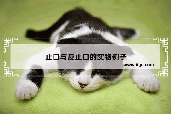 止口与反止口的实物例子