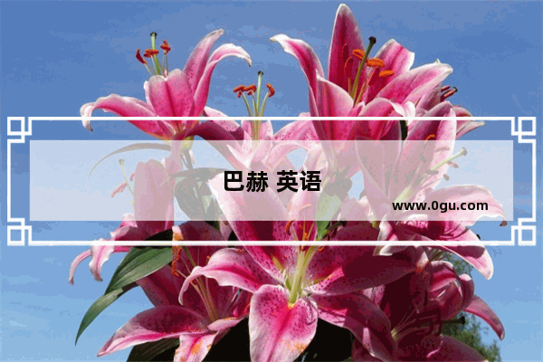 巴赫 英语