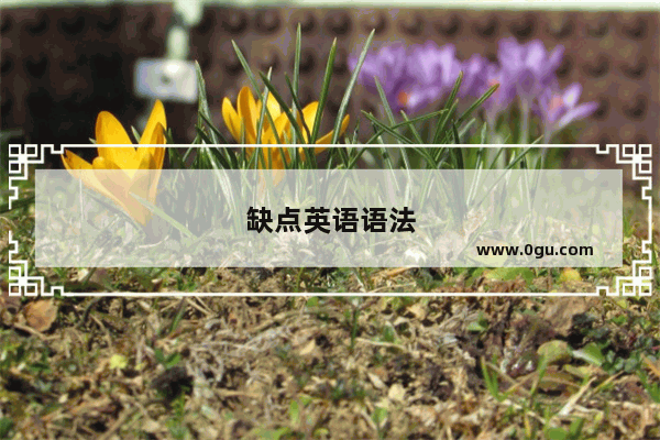 缺点英语语法