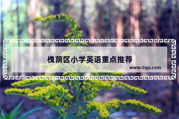 槐荫区小学英语重点推荐