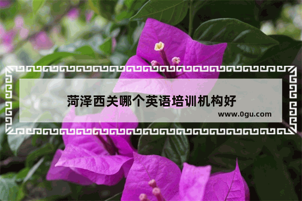 菏泽西关哪个英语培训机构好