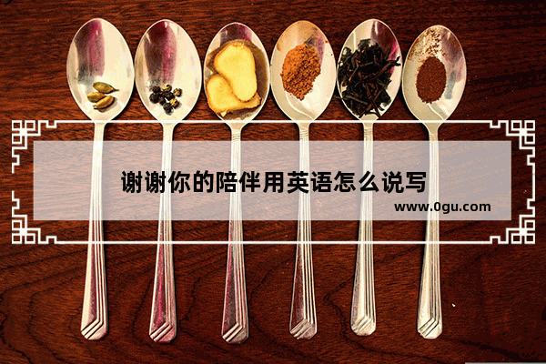 谢谢你的陪伴用英语怎么说写