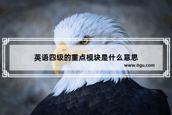 英语四级的重点模块是什么意思