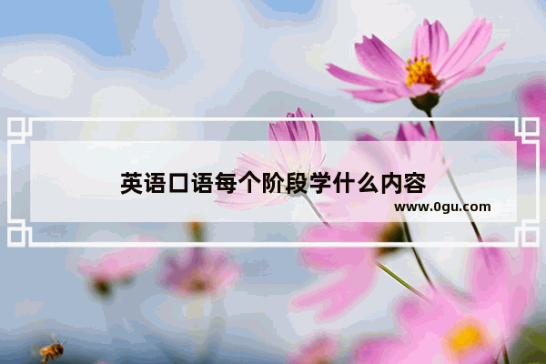 英语口语每个阶段学什么内容