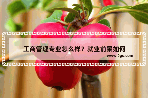工商管理专业怎么样？就业前景如何