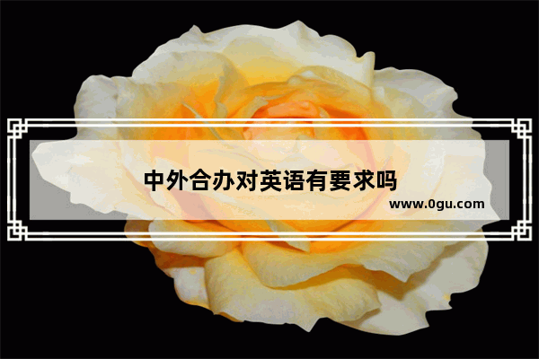 中外合办对英语有要求吗