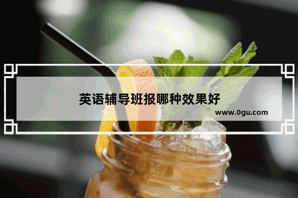 英语辅导班报哪种效果好