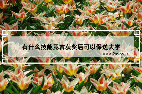 有什么技能竞赛获奖后可以保送大学