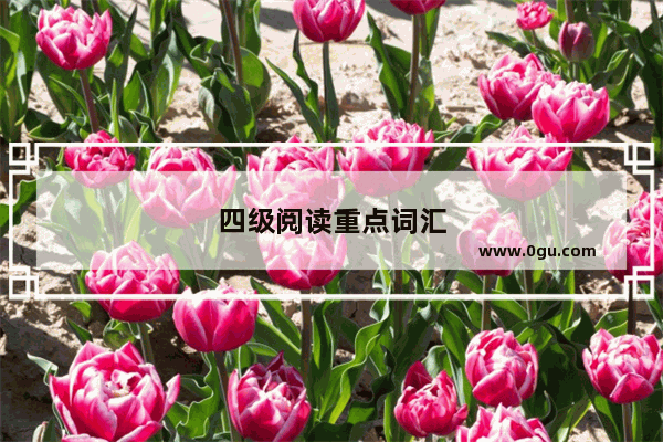 四级阅读重点词汇