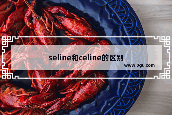 seline和celine的区别