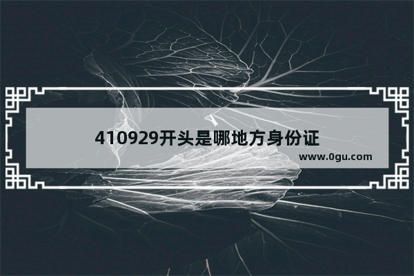410929开头是哪地方身份证