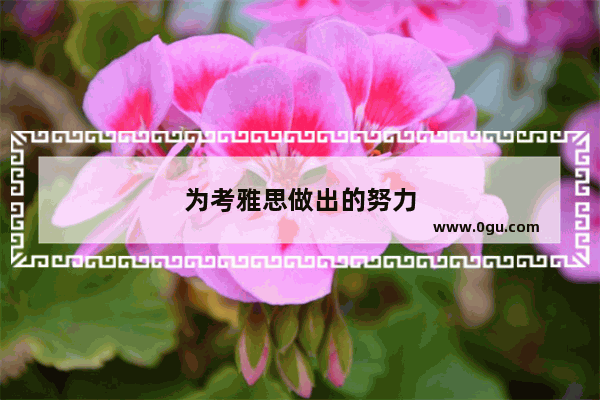 为考雅思做出的努力