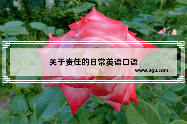 关于责任的日常英语口语