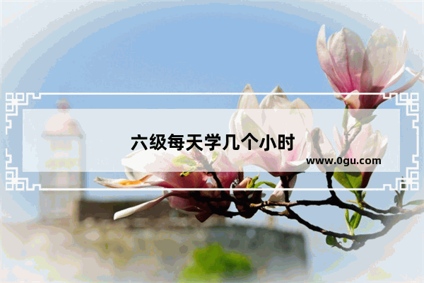 六级每天学几个小时