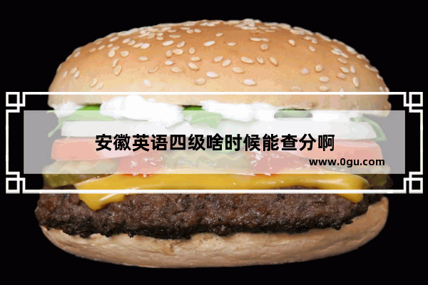 安徽英语四级啥时候能查分啊