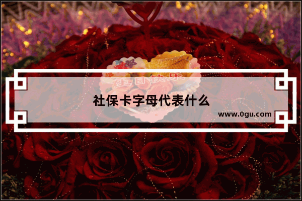 社保卡字母代表什么