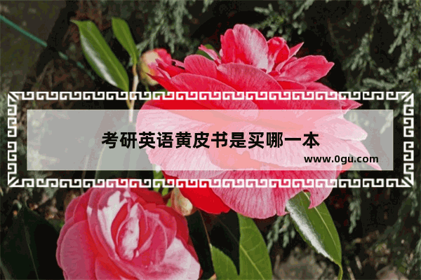 考研英语黄皮书是买哪一本