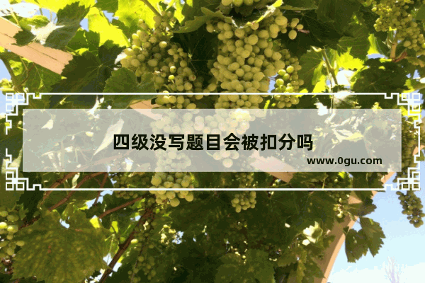 四级没写题目会被扣分吗
