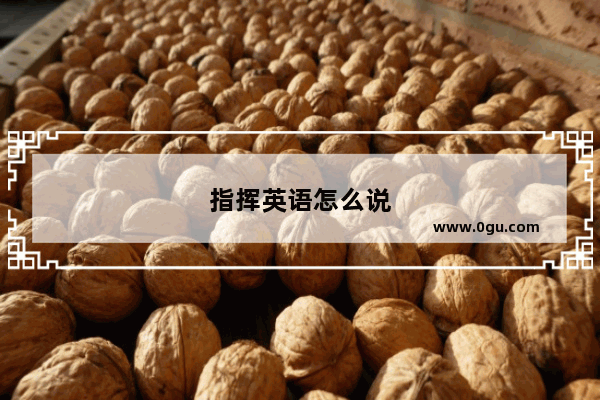 指挥英语怎么说