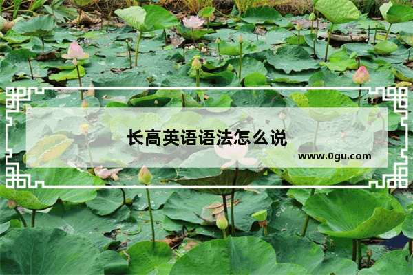 长高英语语法怎么说