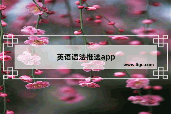 英语语法推送app