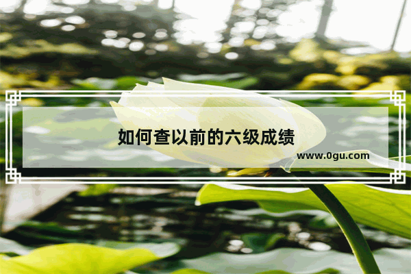 如何查以前的六级成绩