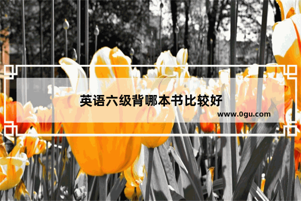 英语六级背哪本书比较好