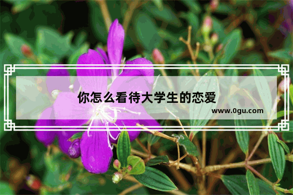 你怎么看待大学生的恋爱