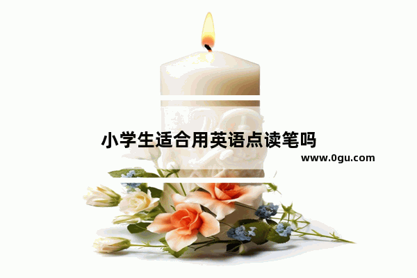 小学生适合用英语点读笔吗