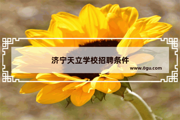 济宁天立学校招聘条件