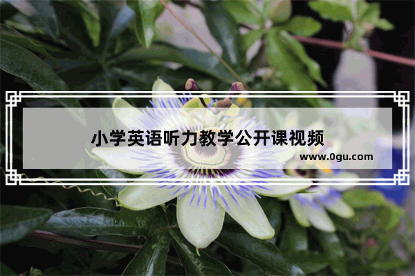小学英语听力教学公开课视频
