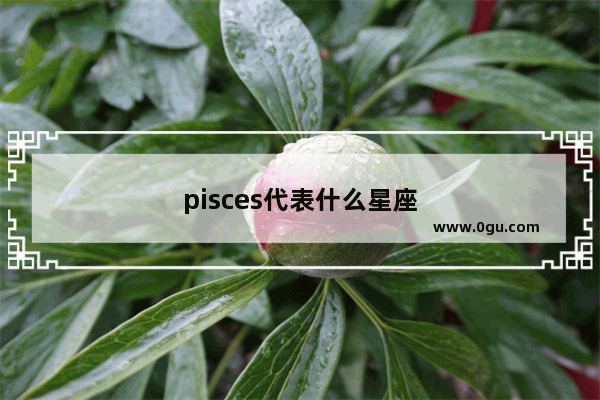 pisces代表什么星座