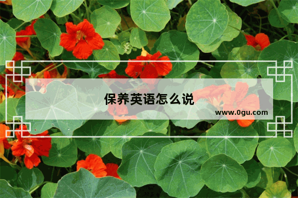 保养英语怎么说