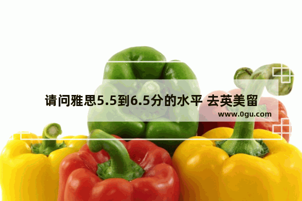请问雅思5.5到6.5分的水平 去英美留学会有严重的语言障碍问题吗