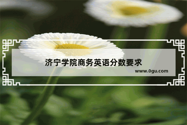 济宁学院商务英语分数要求