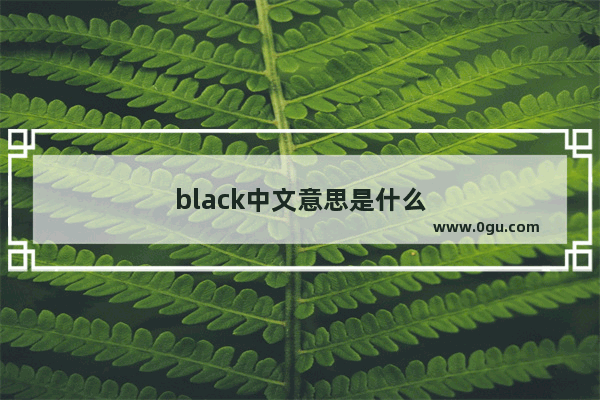black中文意思是什么