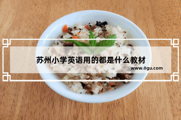 苏州小学英语用的都是什么教材