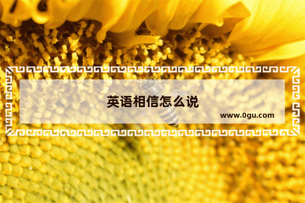 英语相信怎么说