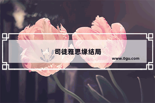 司徒雅思缘结局