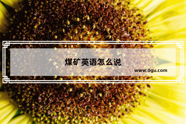 煤矿英语怎么说