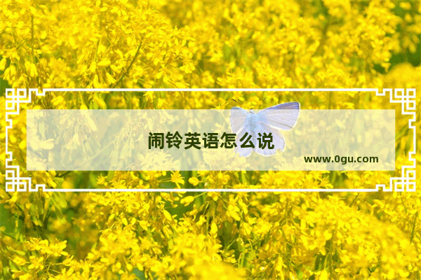 闹铃英语怎么说