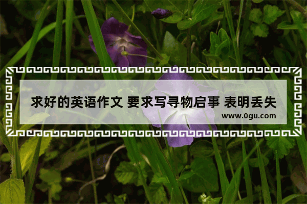 求好的英语作文 要求写寻物启事 表明丢失的时间、地点 求哥哥姐姐。好的加分