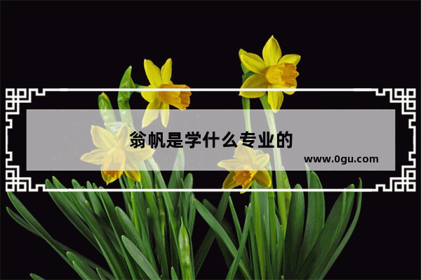 翁帆是学什么专业的