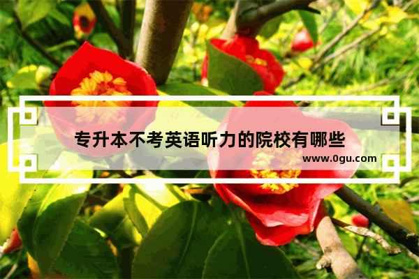专升本不考英语听力的院校有哪些
